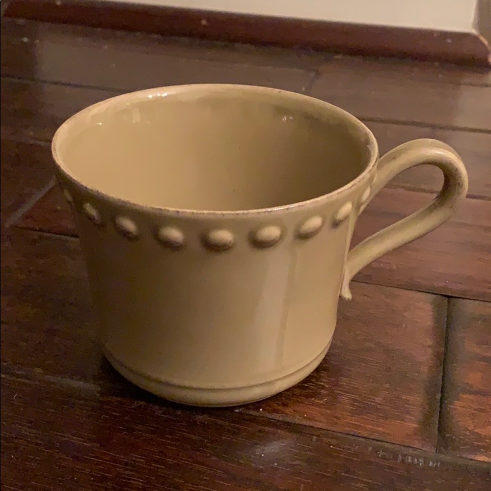 Costa Nova Fine Stoneware Pearl Green Mug